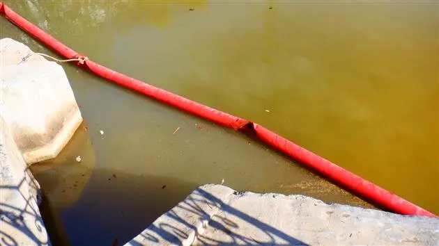 Картинка #5 для «биопрепарат для водоемов: Отечественный биопрепарат для борьбы с сине зелеными водорослями в водохранилищах»