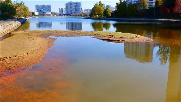 Фото 7 для новости «Отечественный биопрепарат для борьбы с сине зелеными водорослями в водохранилищах»