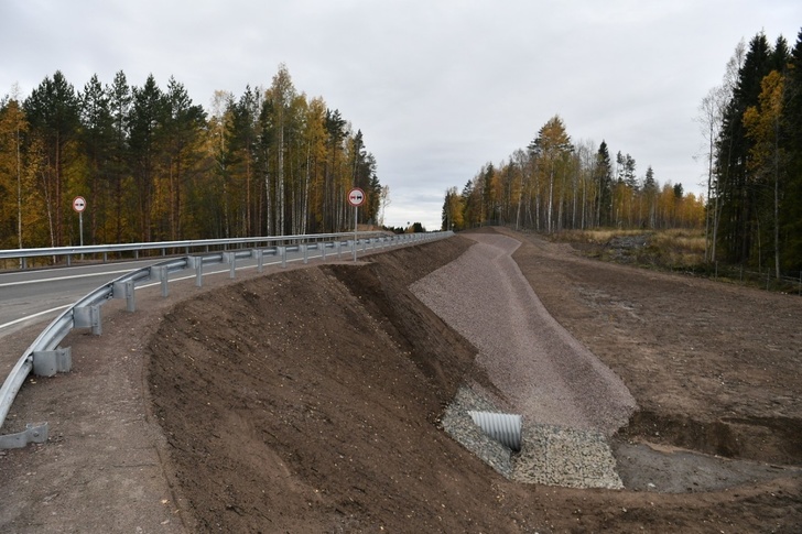 Восстановление трассы автомобильной дороги