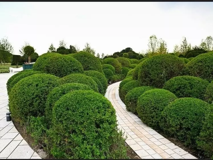 Изображение #4 для новости «Парк Облаков: Вторая часть Парка Облаков открылась в Краснодаре»