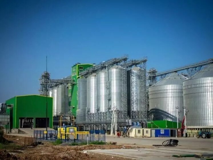 Картинка №6 для публикации «Новые предприятия АПК и пищевой промышленности в июле августе 2025 года»