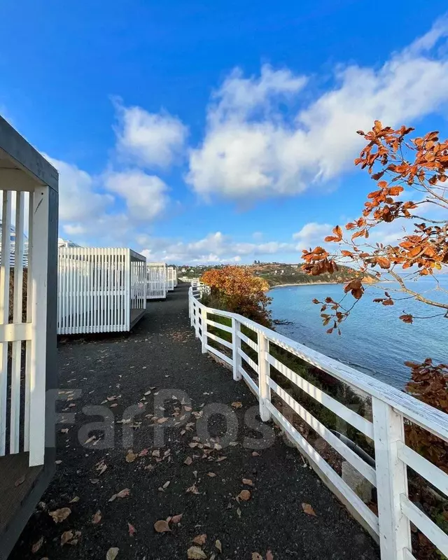 Картинка №8 для «В Приморье открылся первый на Дальнем Востоке круглогодичный глэмпинг отель Атмосфера»