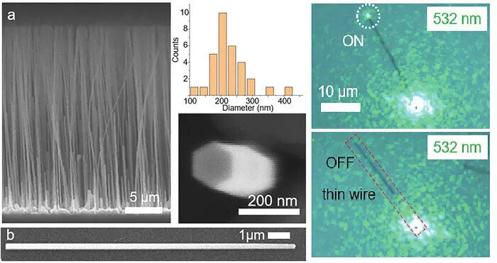 Российские учёные создали компоненты фотонных компьютеров