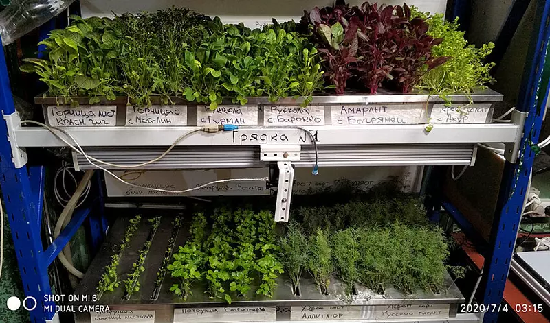 Свежая зелень из Антарктики