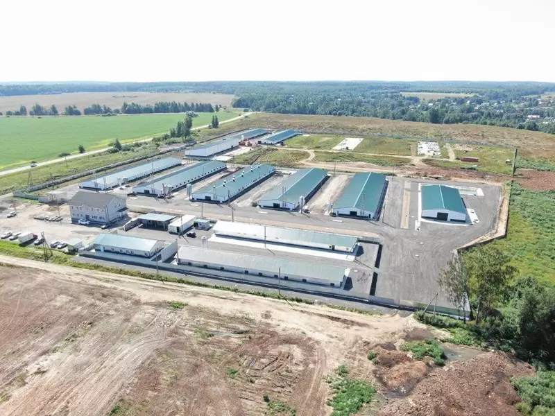 Новый репродуктор для птицеводства открыт в Шаховской Московской области