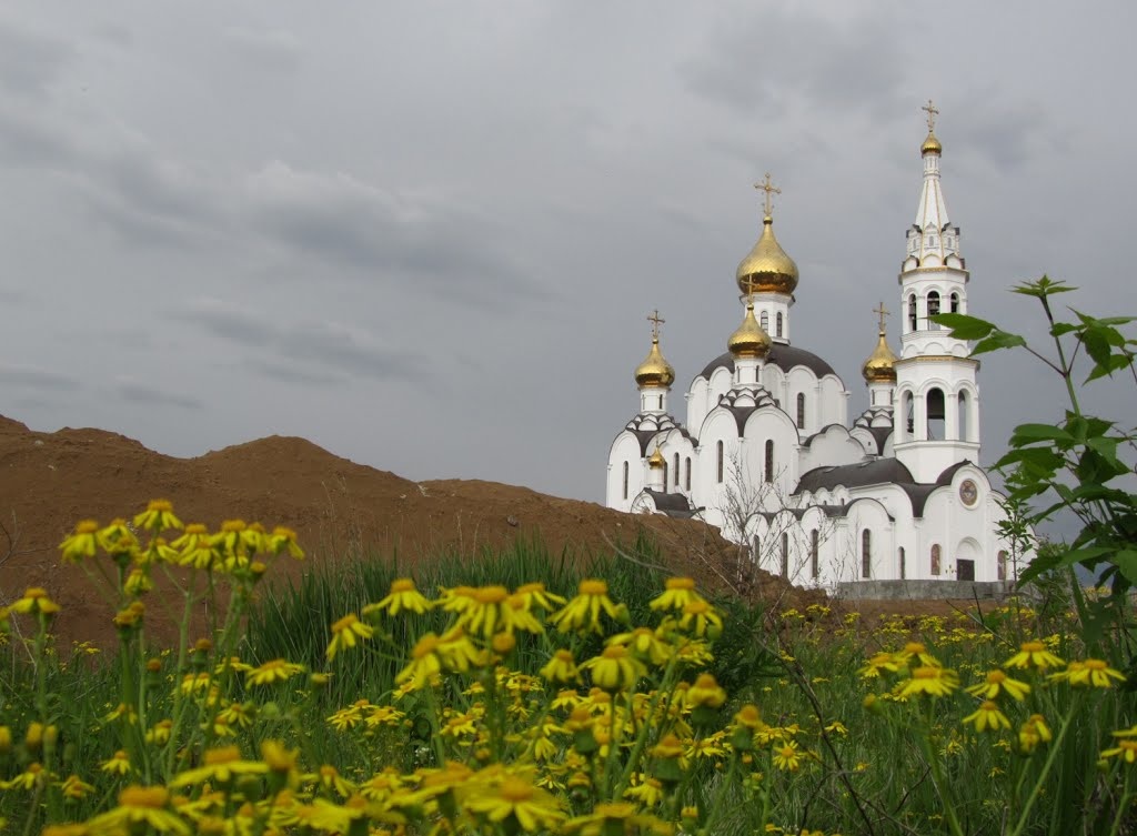 Свято алексеевский женский монастырь. Свято-Иверско-Алексеевский женский монастырь. Свято-Иверский женский монастырь Петровка. Свято-Иверский женский монастырь Эстетика. Орский монастырь.