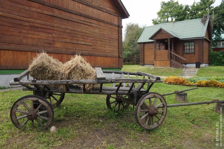 Фото в телегу