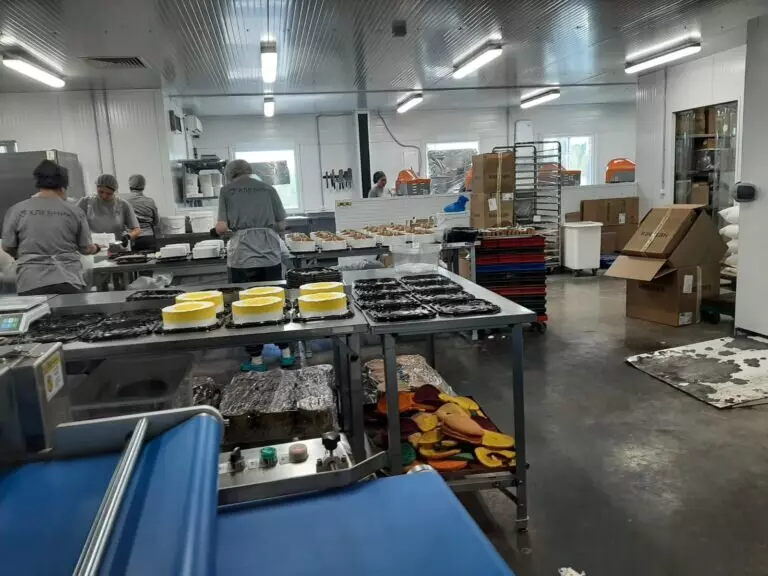 3 для новости «Ленинградская область: В Ленинградской области запущен пищевой комбинат»