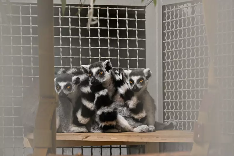 №4 для статьи «В Перми открыт новый зоопарк»