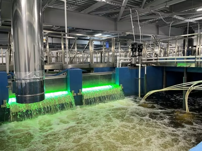 Крупная рыбная ферма начала работу в Рыбинском районе Ярославской области