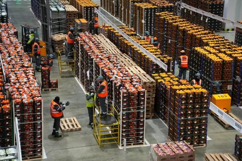 Фото 2 для статьи «спецтехника и логистика: В Новороссийске открыли новый складской комплекс для хранения продуктов»