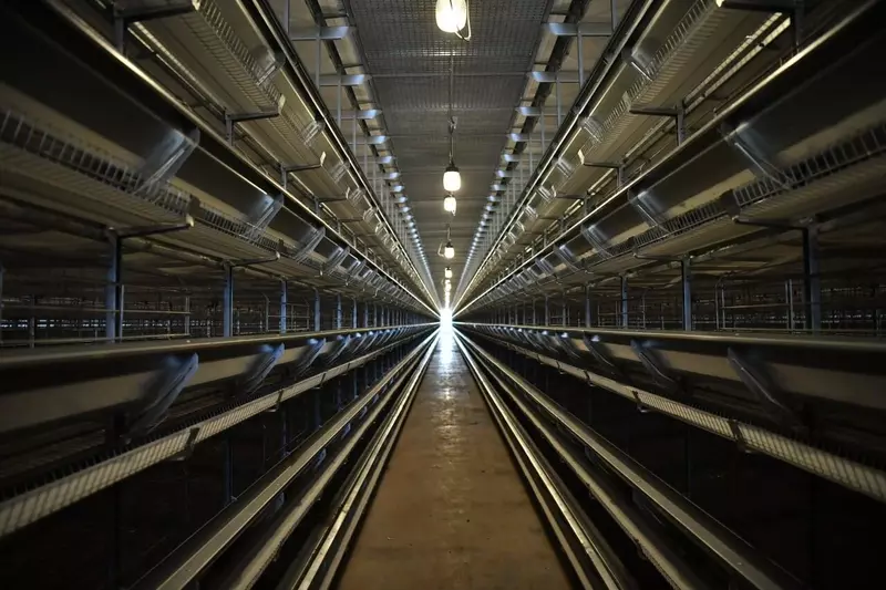 Саратовская птицефабрика ввела в эксплуатацию новый цех