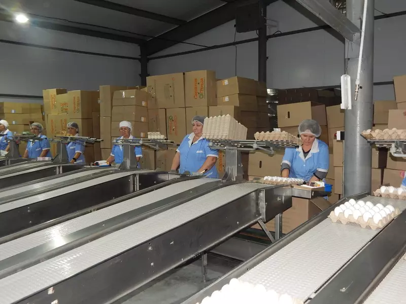 Картинка №2 для «птицеводство: Саратовская птицефабрика ввела в эксплуатацию новый цех»