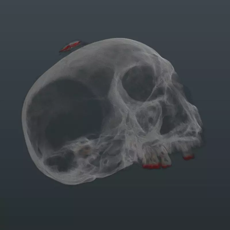 Замена импортного ПО для томографии