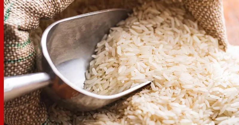 Фото 1 для «Статистика: В России собран рекордный урожай риса»