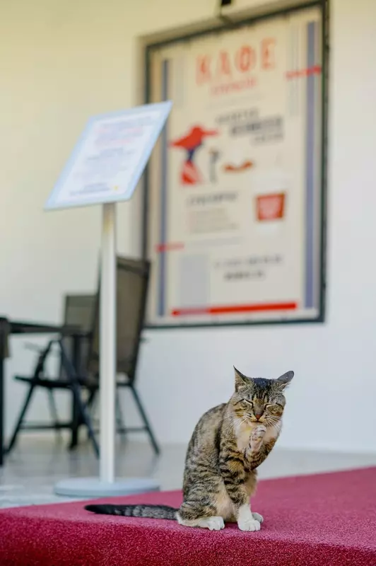 №92 для новости «Новости благоустройства территорий»