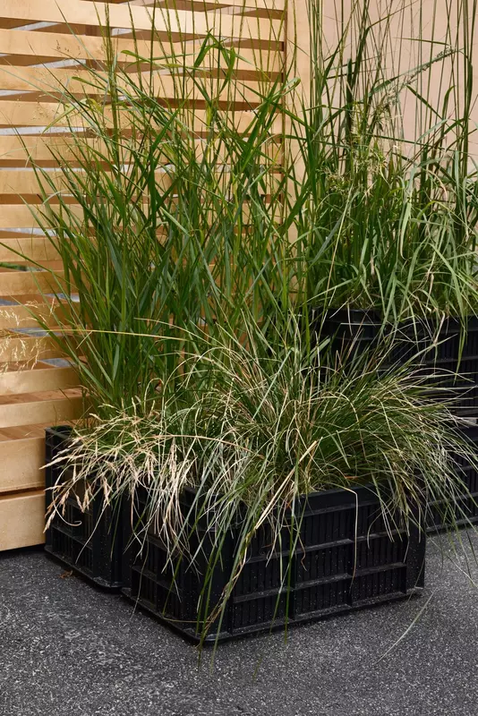 Фото №60 для «Новости благоустройства территорий»