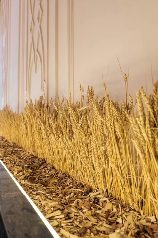 Картинка 57 для «Новости благоустройства территорий»