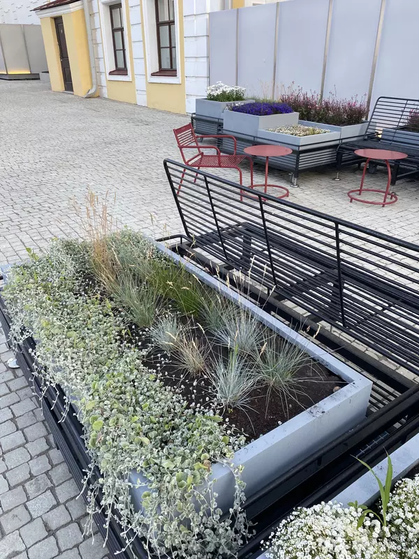 67 для новости «Новости благоустройства территорий»