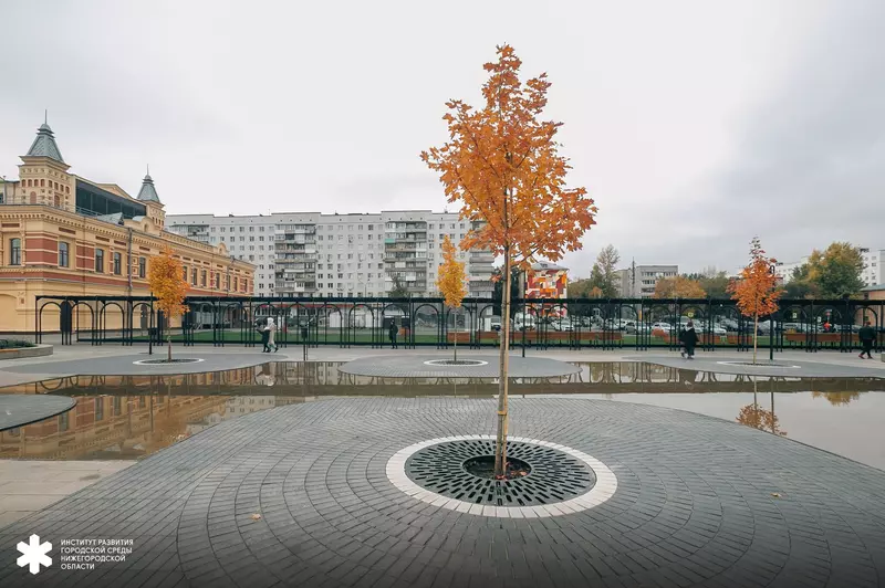 Картинка 4 для публикации «общество: Новости благоустройства территорий»