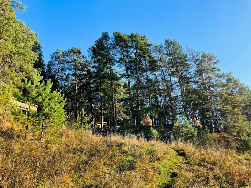 Изображение 52 для поста «Новости благоустройства территорий»