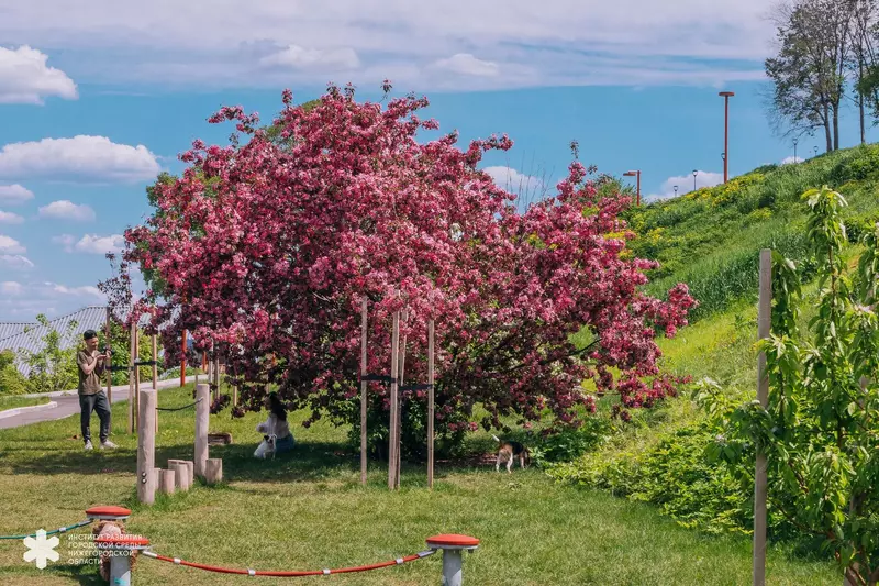 Изображение #37 для новости «Новости благоустройства территорий»