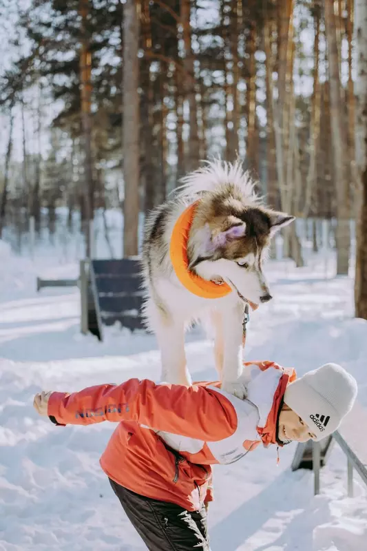 Иллюстрация №23 для «Новости архитектурного благоустройства и строительного комплекса в России»