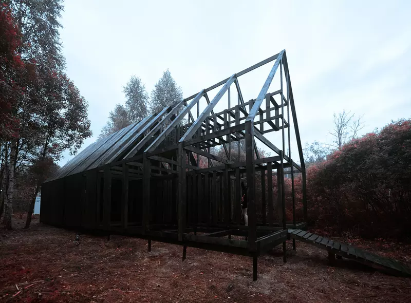 Иллюстрация №15 для новости «Новости городского благоустройства в России»