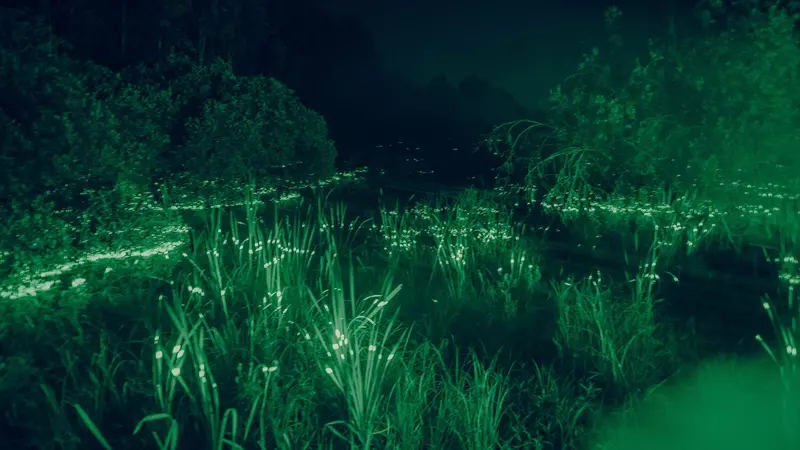 Фото 13 для новости «Новости городского благоустройства в России»