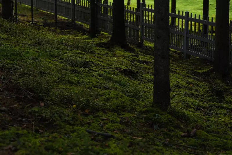 №22 для статьи «Новости благоустройства территорий»