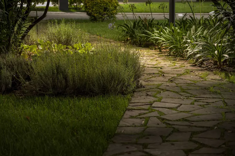 Изображение #7 для «Благоустройство сквера Стерео в Сочи»