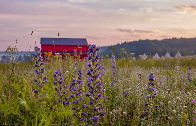 Картинка №6 для публикации «общество: Новый арт отель в Тульской области»