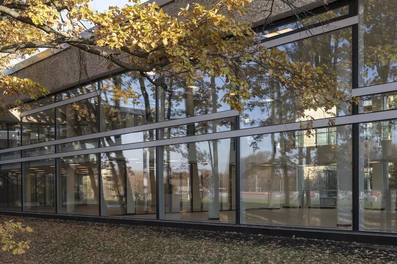 Картинка #48 для «Реставрация Дворца пионеров на Воробьевых горах»