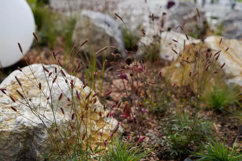 Иллюстрация #4 для «»