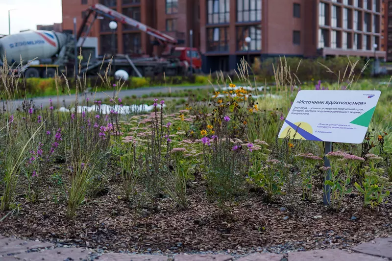 Изображение 10 для статьи «»