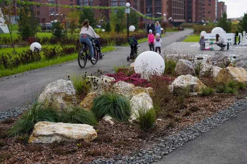 Картинка 15 для статьи «»