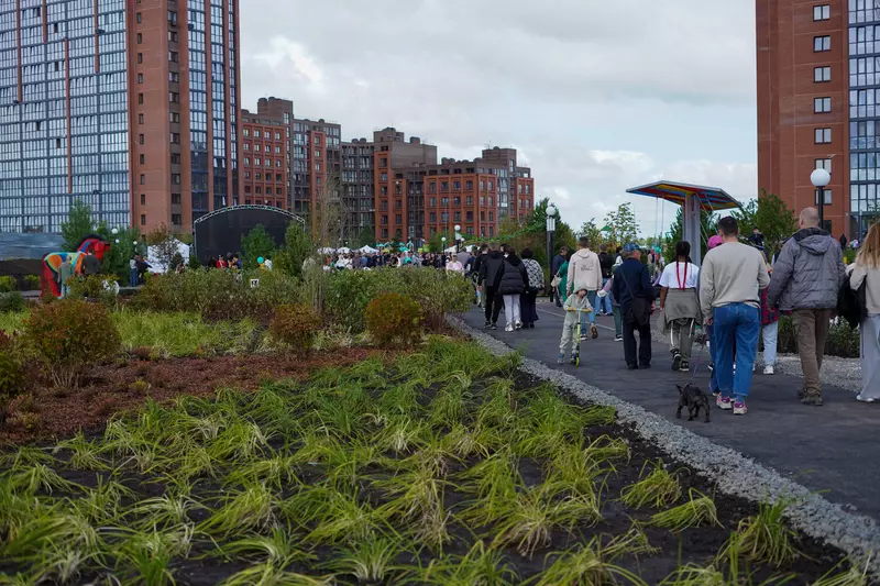 Иллюстрация №24 для новости «»