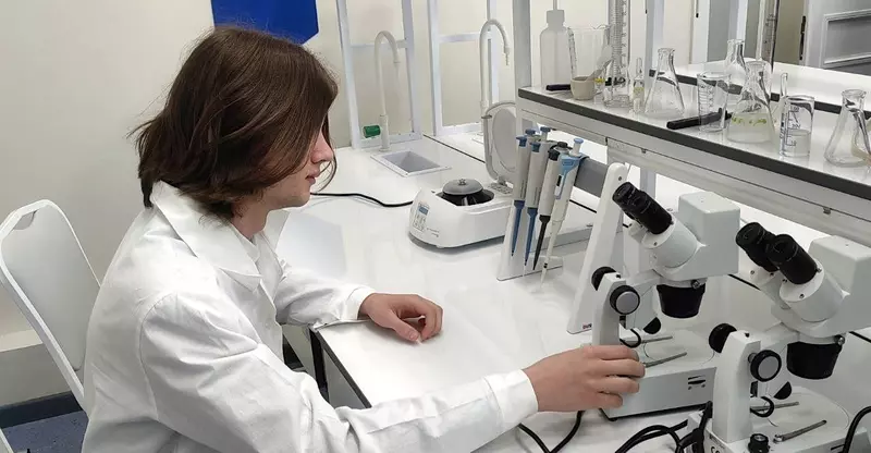 Иллюстрация №8 для новости «Новости образования»