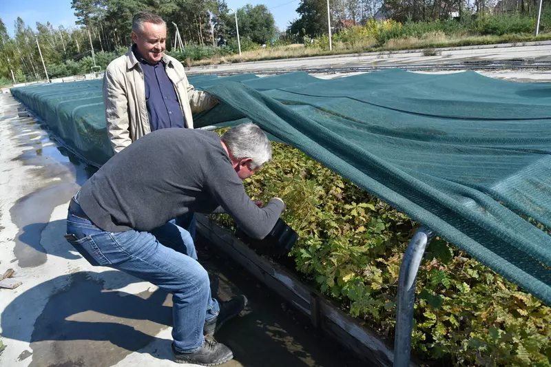 Фото #8 для новости «Как в Воронежской области на 100 процентов восстановили потери леса от пожаров 2010 года»