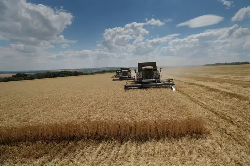 Картинка 1 для статьи «Агропром и пищевая промышленность: Лидером в ЦФО по сбору зерна стала за этот год Воронежская область»