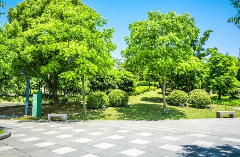 Новости благоустройства территорий