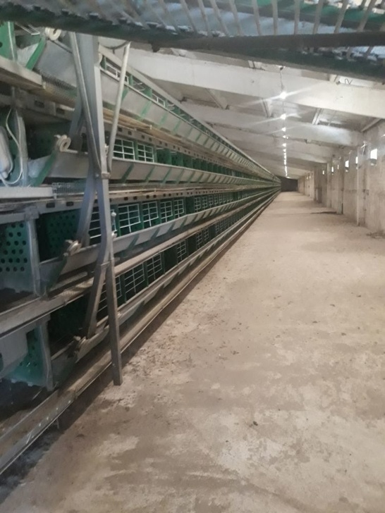 Первая в Северной Осетии автоматизированная птицефабрика вышла на проектную мощность