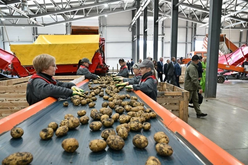 Картинка 1 для поста «Новые и модернизированные предприятия агропрома: Агрохолдинг Чистополье открыл завод по переработке картофеля в Татарстане»
