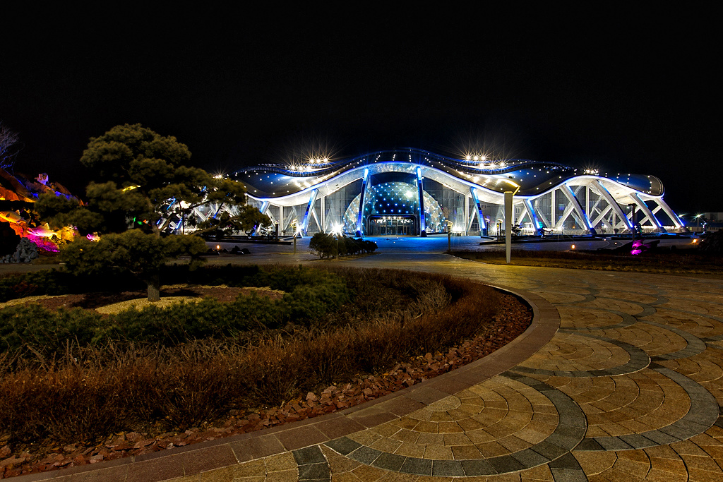 Океанариум Владивосток Остров Русский Купить Билеты