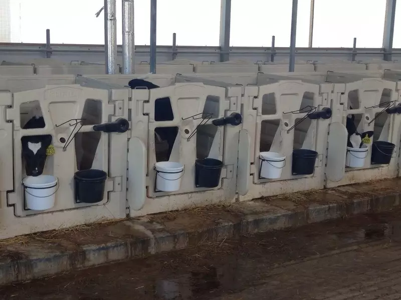 Изображение #4 для публикации «сельское хозяйство: В Рязанской области открыта вторая очередь крупного молочного комплекса»