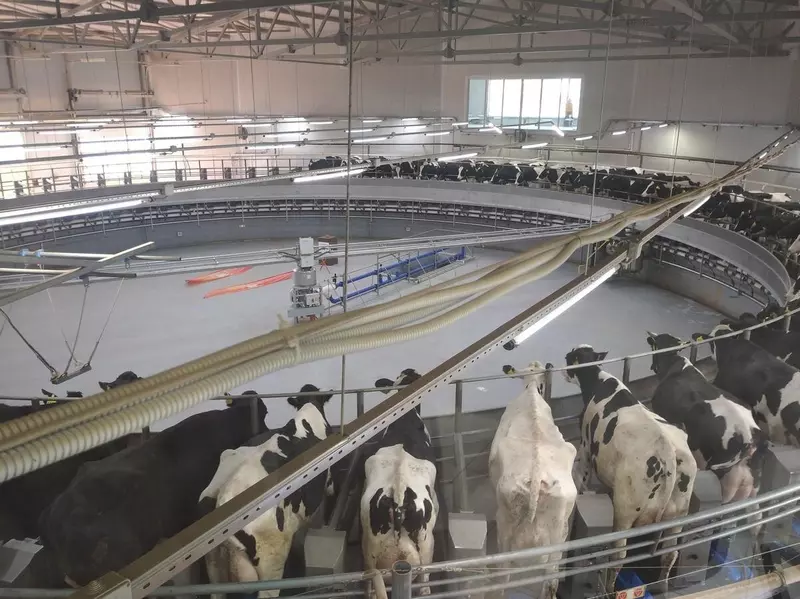 Изображение 2 для поста «производство молока: В Рязанской области открыта вторая очередь крупного молочного комплекса»