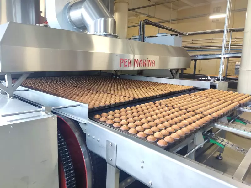 Иллюстрация #1 для новости «Новые и модернизированные предприятия агропрома: В Череповце открылась самая большая в стране линия по производству кексов маффины»