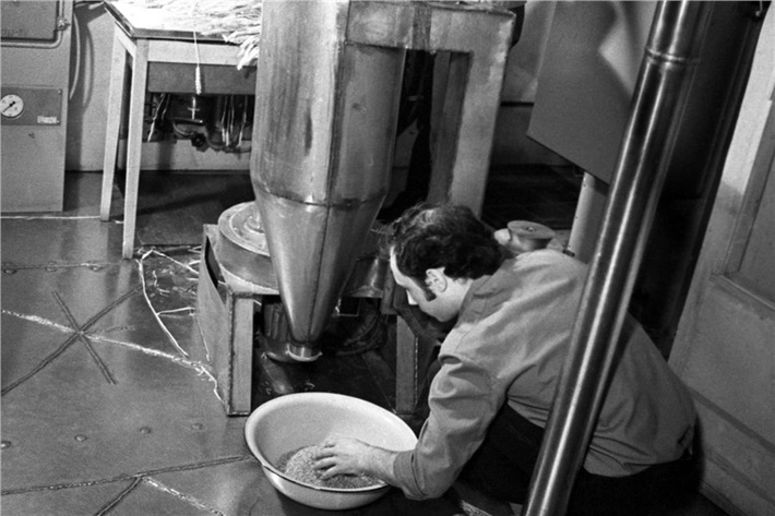 Получение муки из зерна, выращенного во время научного эксперимента на установке «БИОС-3»Помолом муки занимается Геннадий Асиньяров, фото 1973 года.