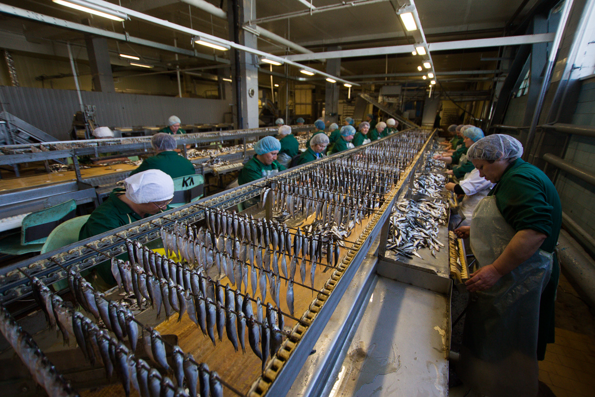 Самый большой рыбоконсервный завод калининградской области