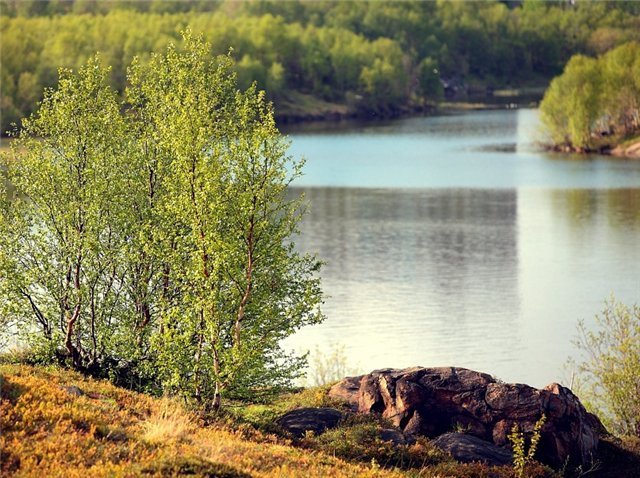 Бараний лоб у озера семеновское